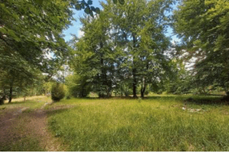 SUR LA PISTE DES FEUILLES (8 juin)